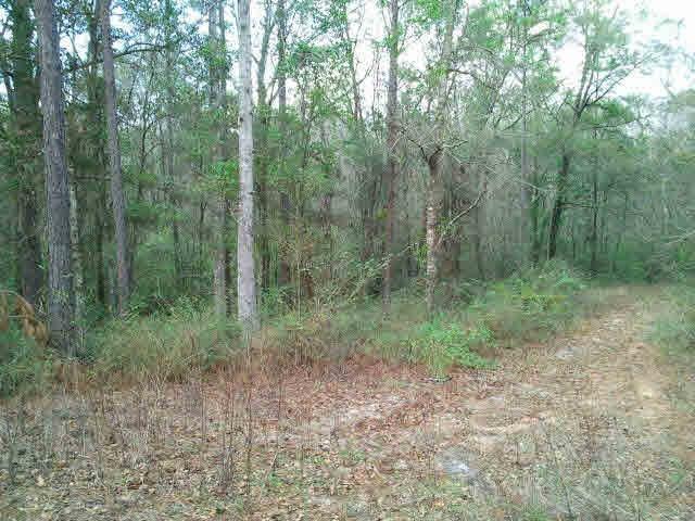 0 Mcfarland Circle - Photo 1