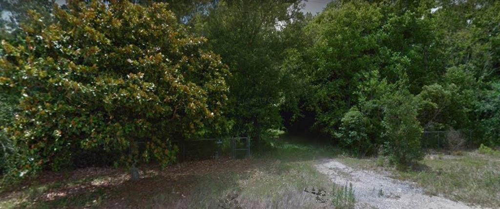 11950 Henderson Camp Road - Photo 1