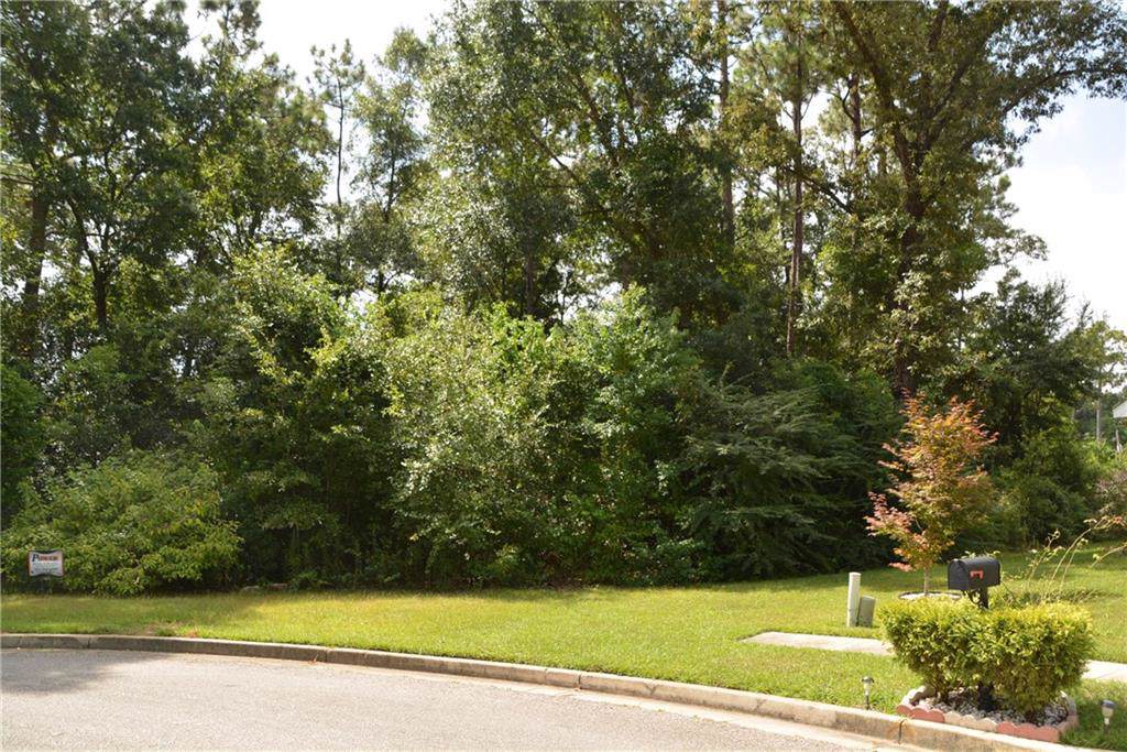 0 Green Forest Court - Photo 1