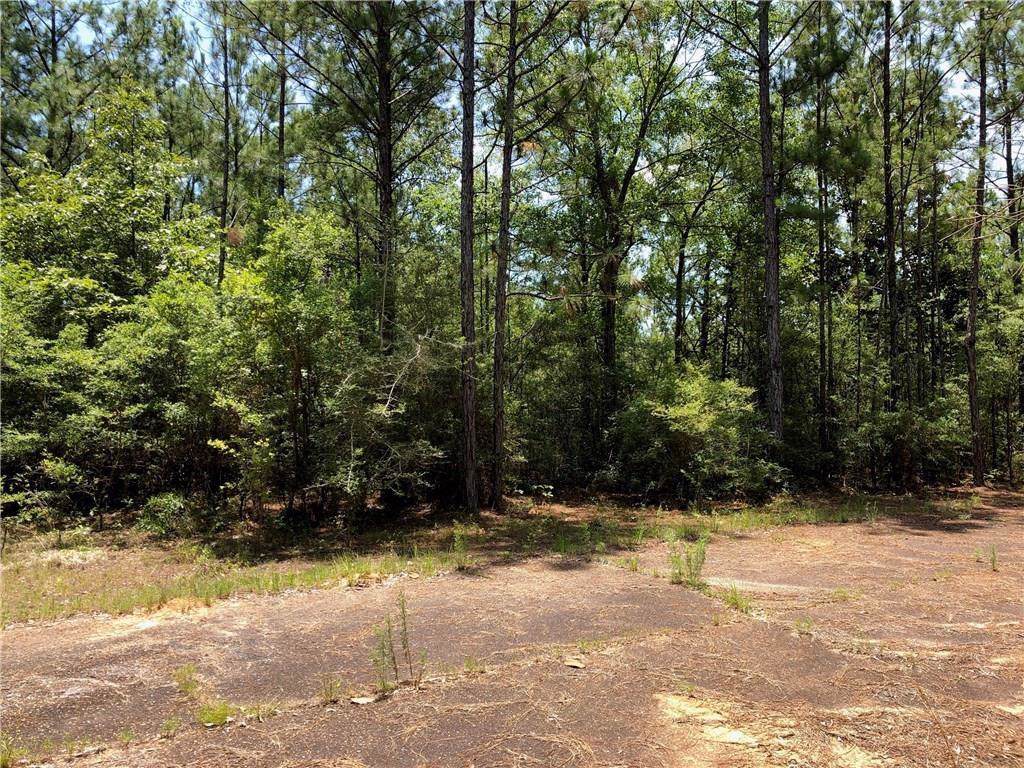 0 Hunters Trail - Photo 1