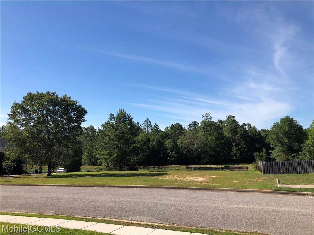 0 Willow Walk Drive - Photo 1