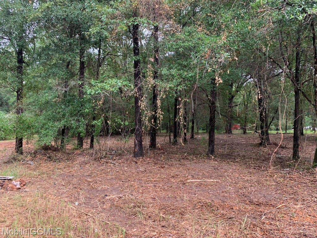 0 Kushla Oaks Drive - Photo 1