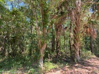 204 La Coste Court - Photo 1