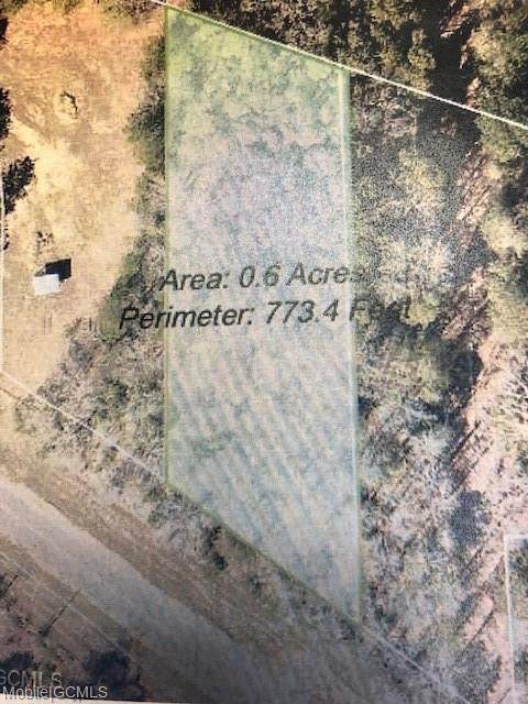12240 Mason Ferry Road - Photo 1