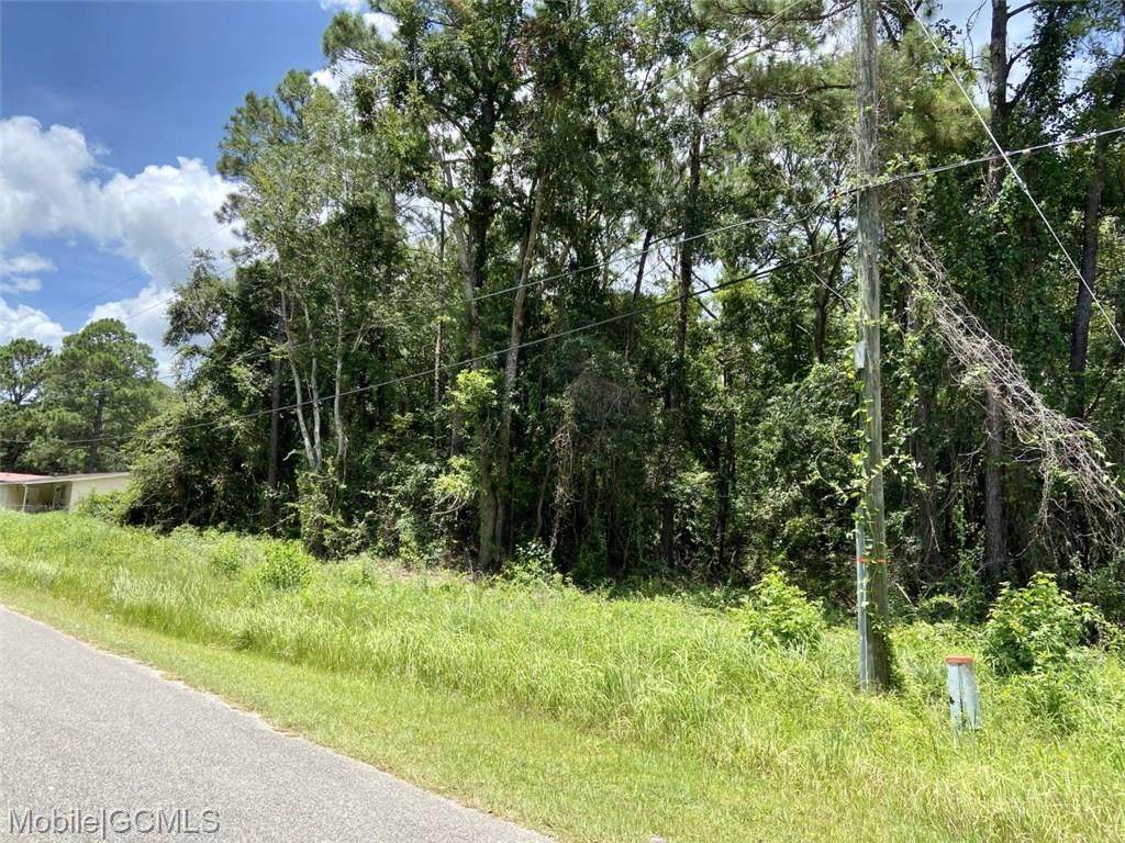 3101 Baptiste Drive - Photo 1