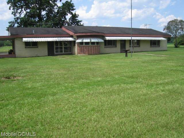 13100 Fort Lake Road - Photo 1