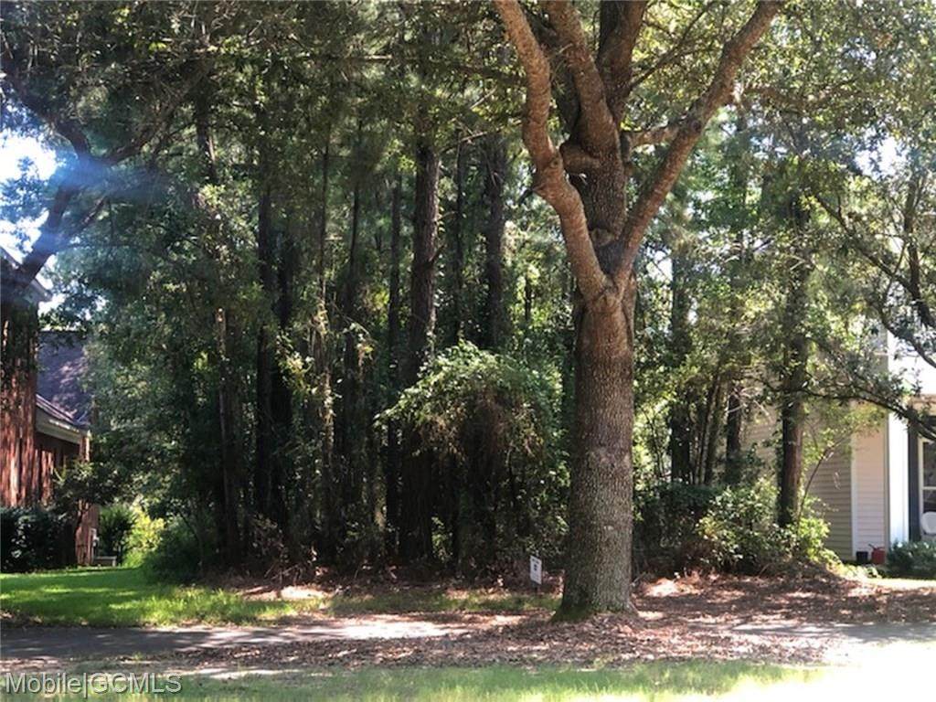 123 Savannah Square - Photo 1