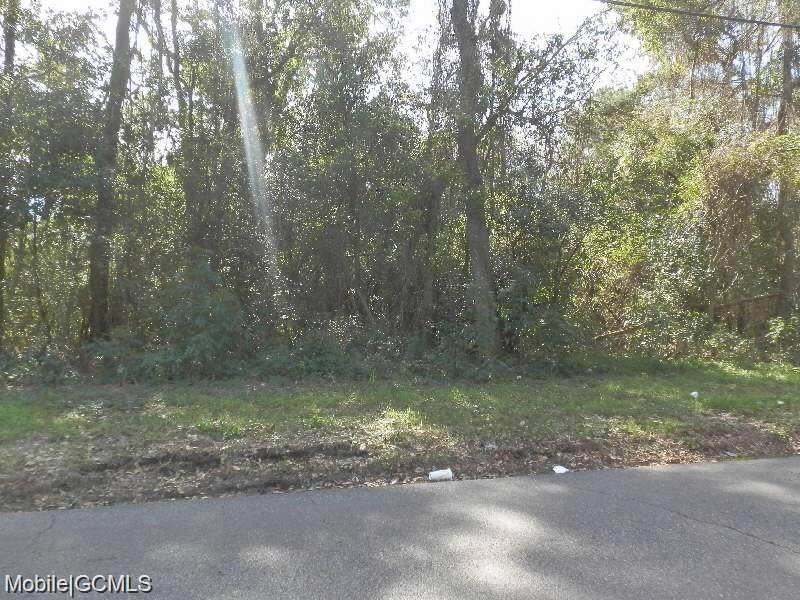 1717 Gill Road - Photo 1
