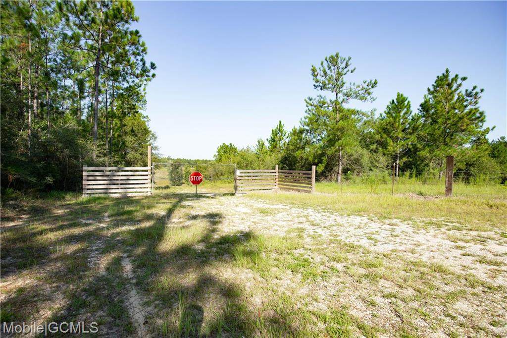 0 Billy Walker Road - Photo 1