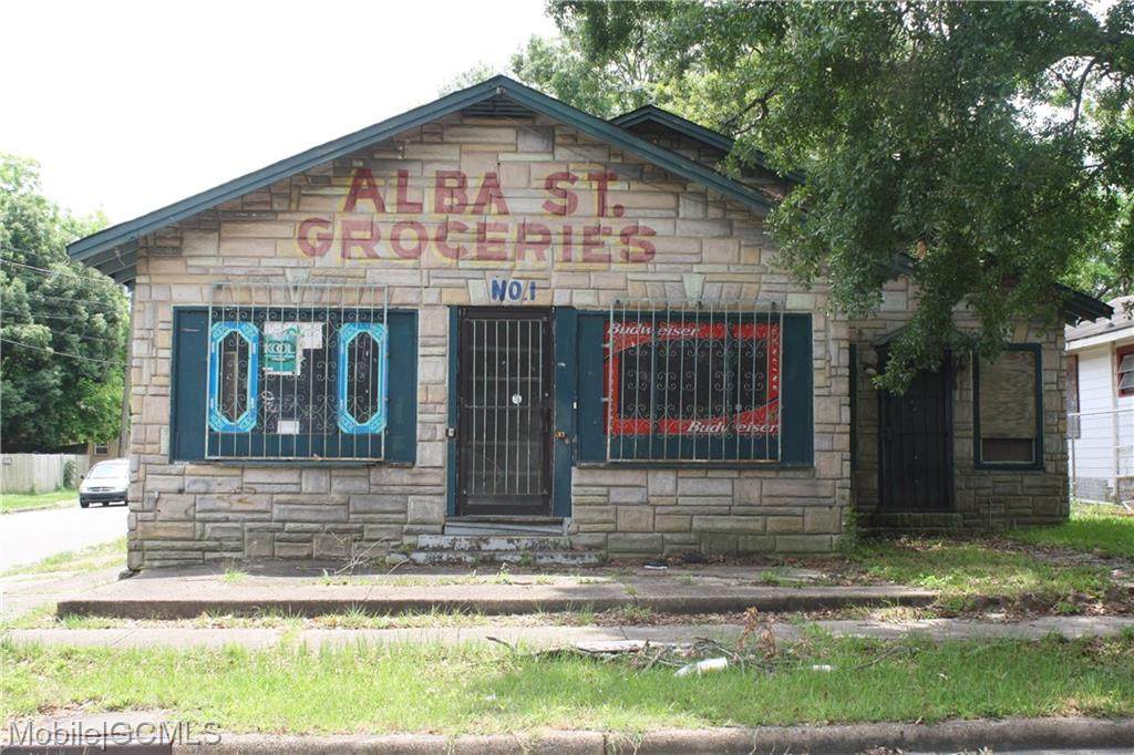 1151 Alba Street - Photo 1