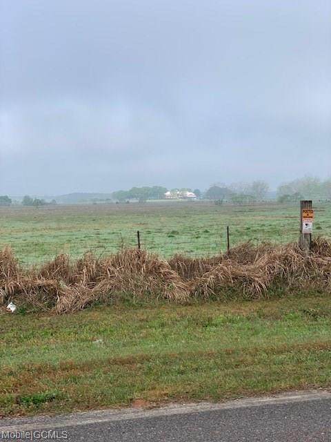 0 Jim Mcneil Loop Road - Photo 1