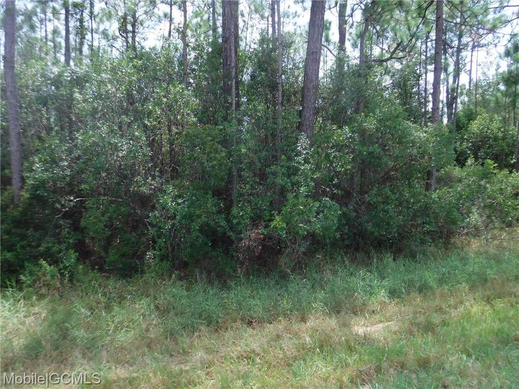 0 Highway 188 - Photo 1
