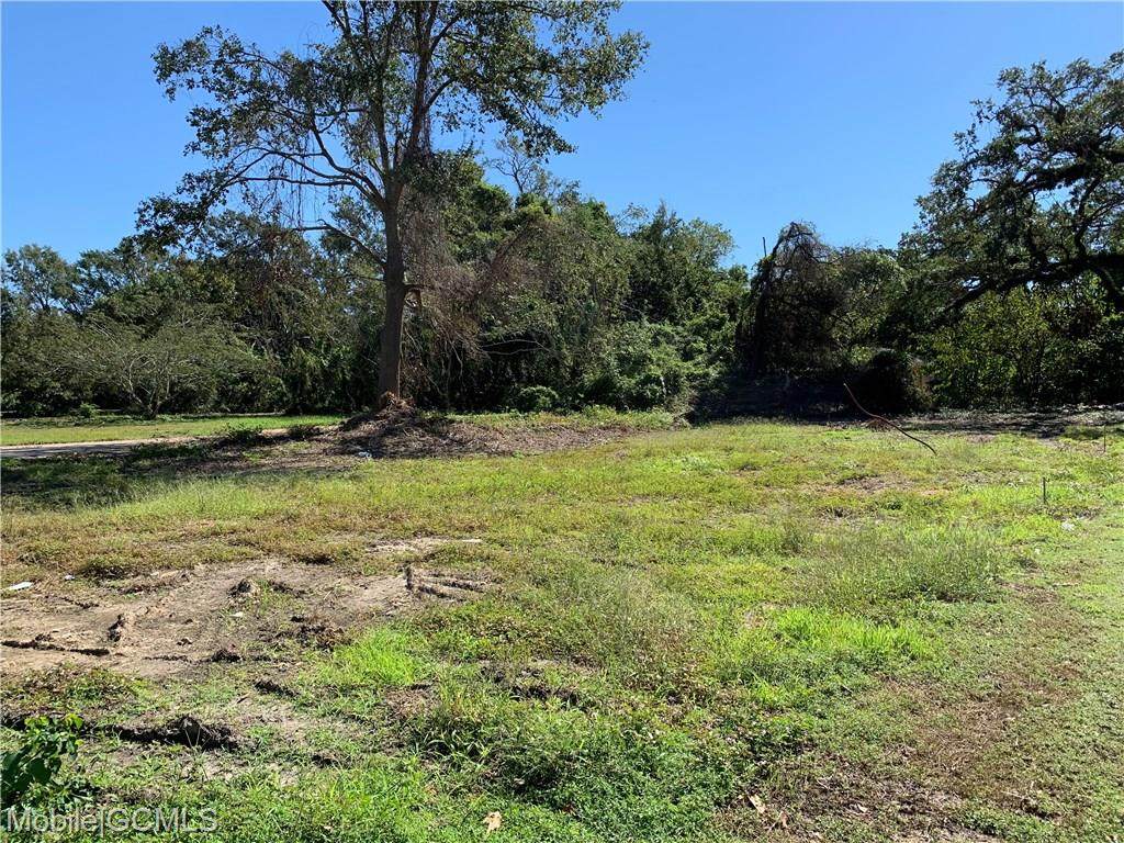 771 Holcombe Avenue - Photo 1