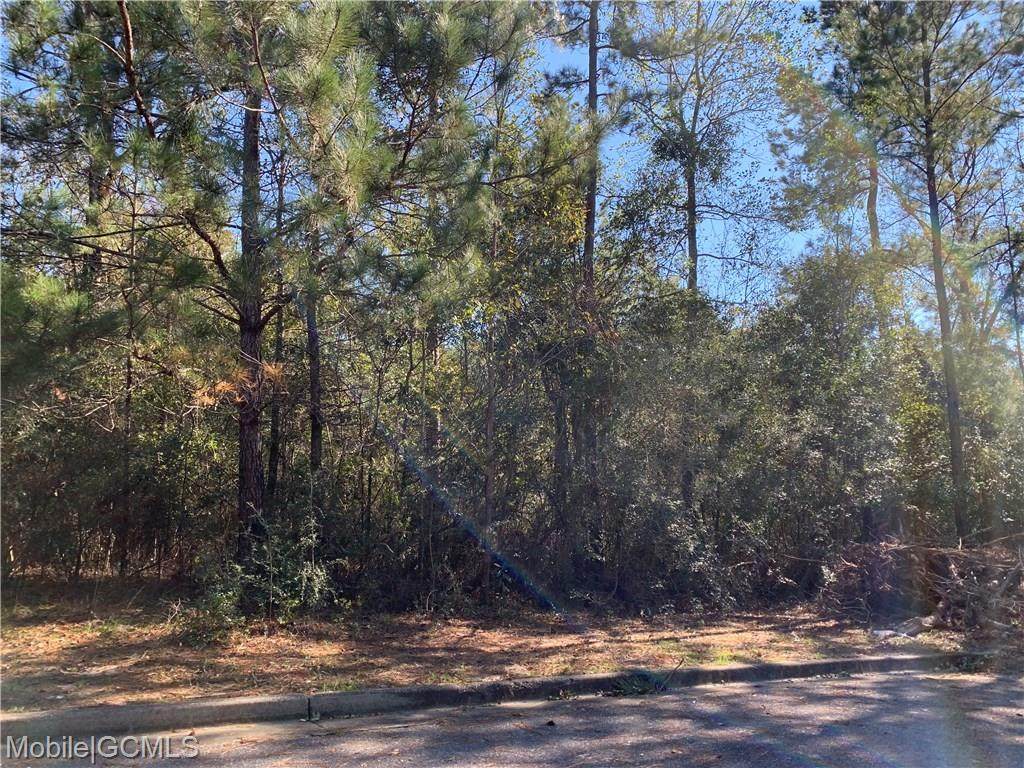 0 Dawson Drive - Photo 1