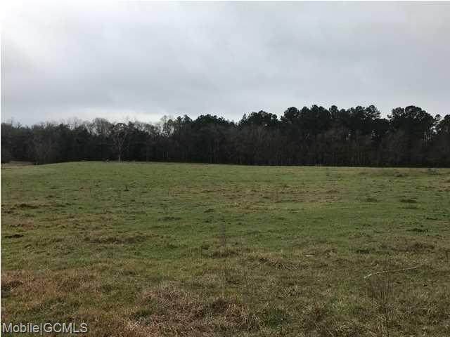 5325 Kooiman Road - Photo 1