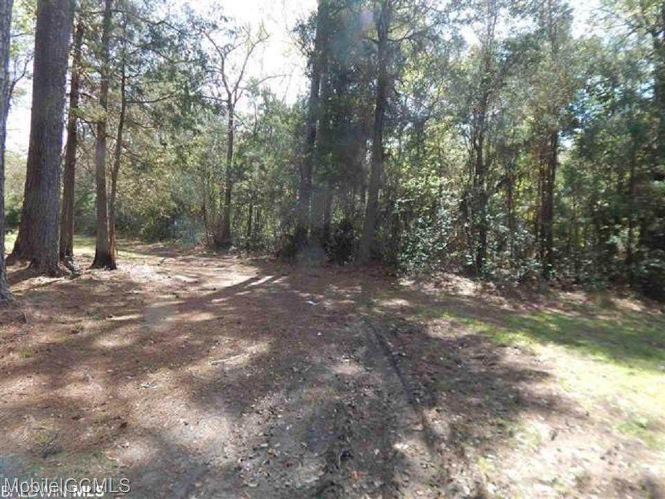 0 Nolte Creek Drive - Photo 1