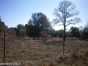 7120 Idus Drive - Photo 1