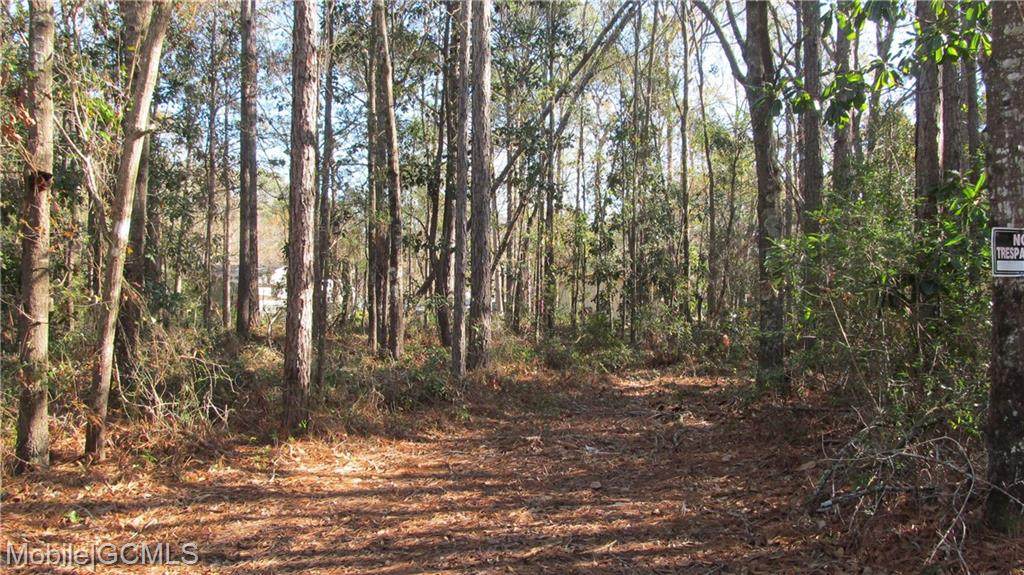 0 Royal River Drive - Photo 1