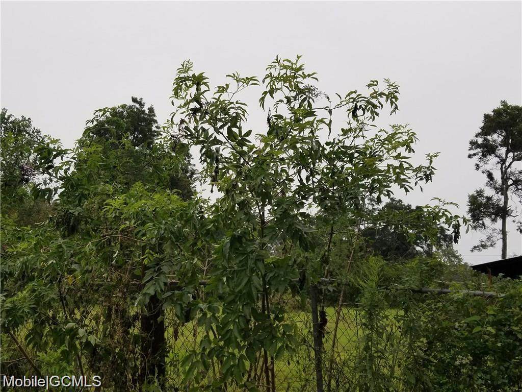 1310 Next Street - Photo 1