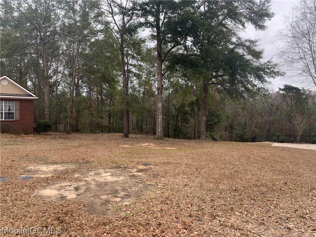 0 Palmetto Court - Photo 1