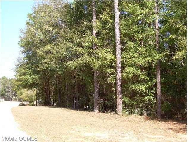 0 Pecan Drive - Photo 1
