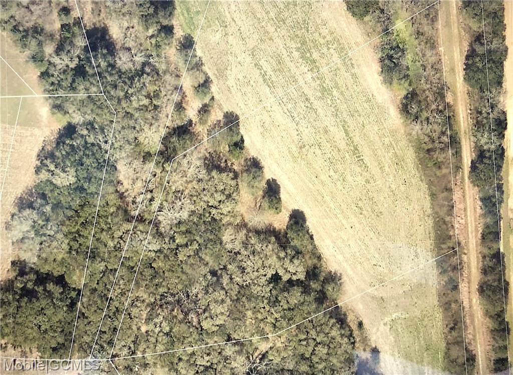 41 Kipling Trace - Photo 1