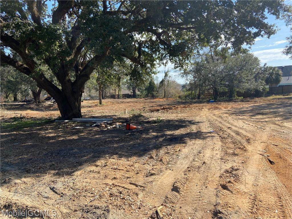 7241 Grelot Road - Photo 1