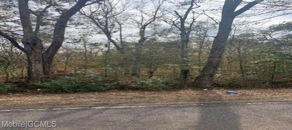 0 Half Mile Road - Photo 1