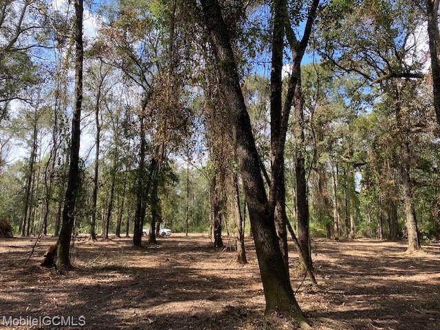 0 Deer Crest - Photo 1