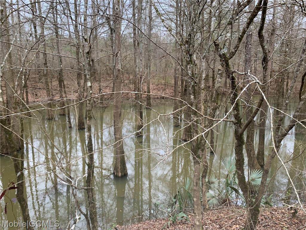 3 Cahaba Road - Photo 1