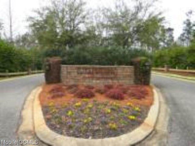 0 Wildflower Trail - Photo 1