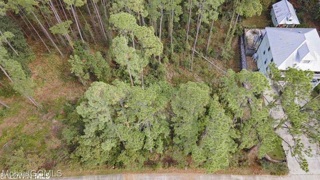 14048 Scenic Highway 98 - Photo 1
