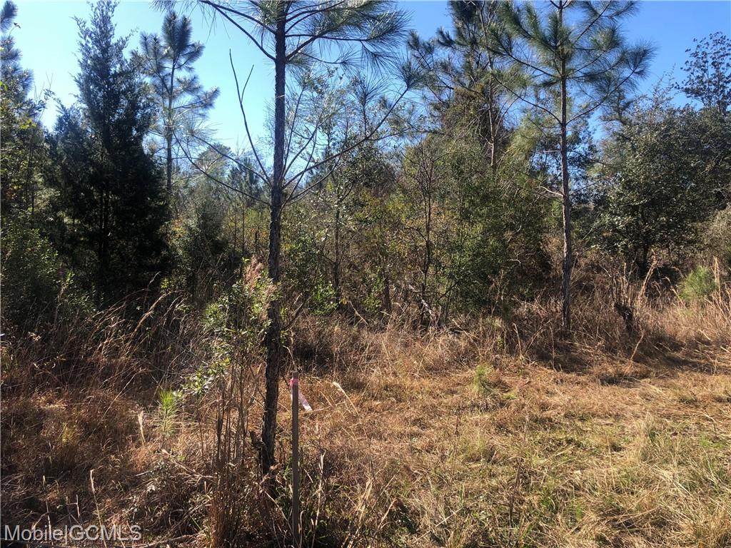 0 Windhover Drive - Photo 1