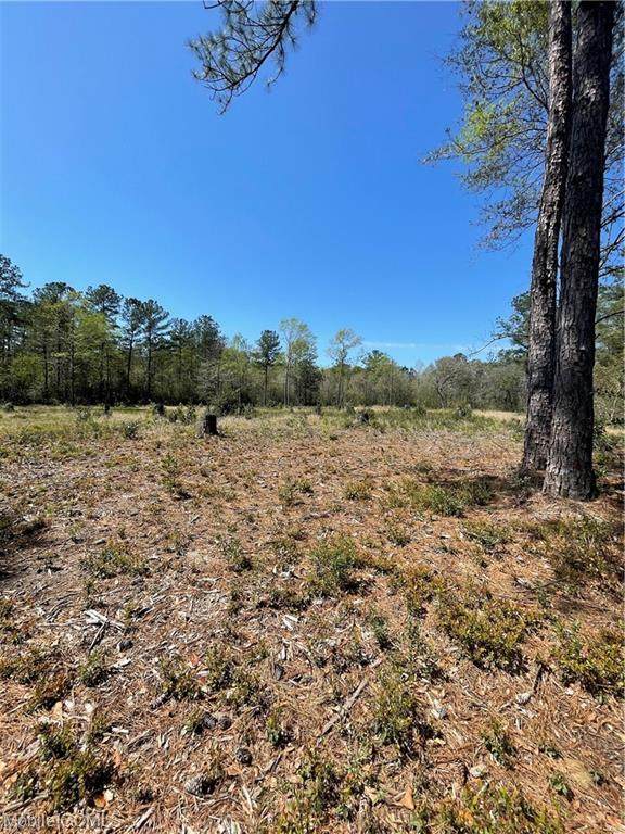 0 Harmon Williams Road - Photo 1