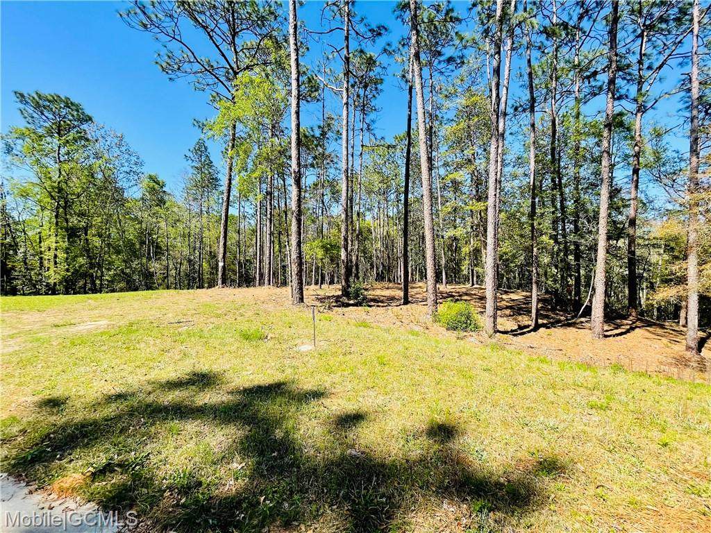 31620 Shambo Road - Photo 1