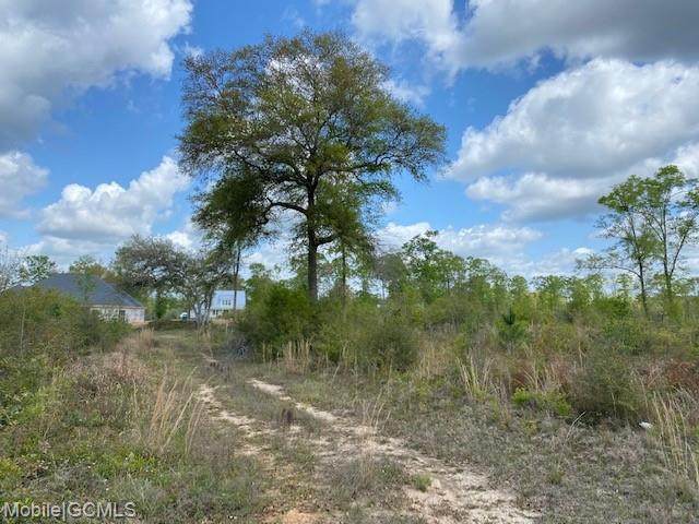 0 Deer Crest Drive - Photo 1