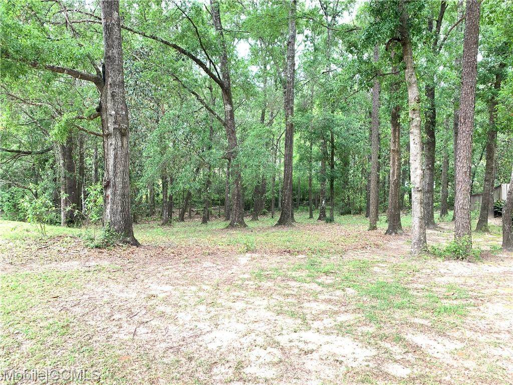 0 Potomac Ridge Drive - Photo 1
