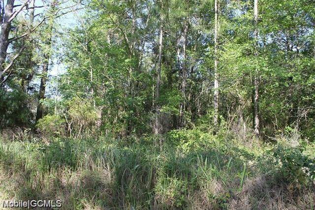 0 Miller Lane - Photo 1