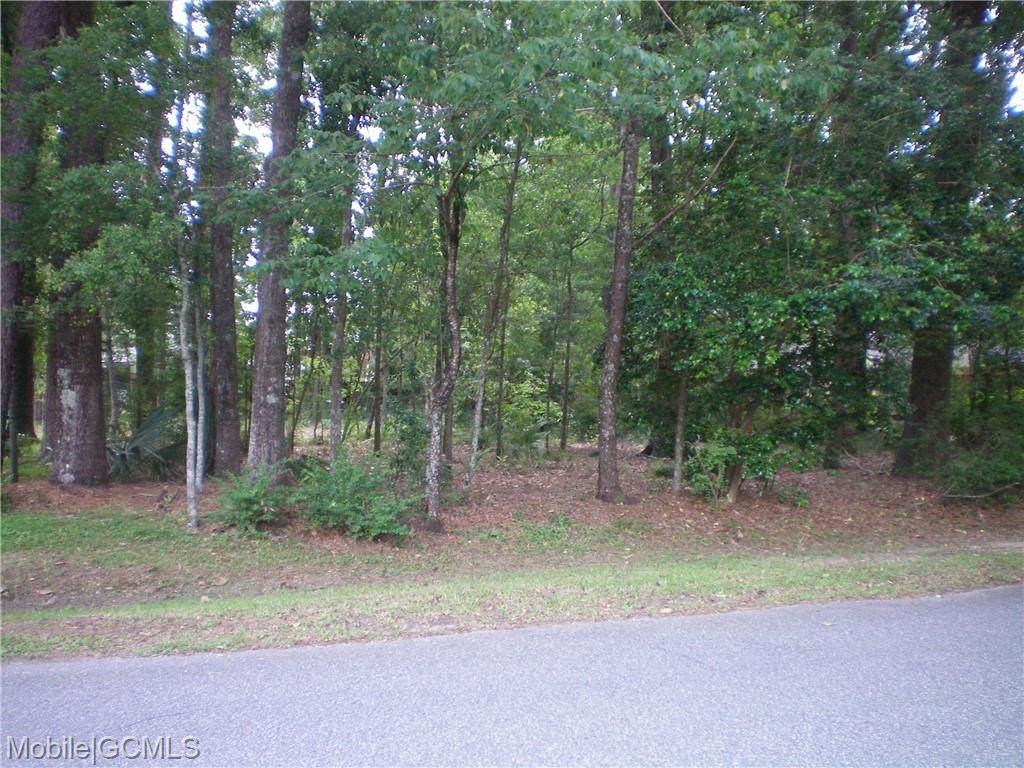 0 Vaughan Drive - Photo 1