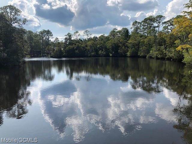 4741 Fowl River Road - Photo 1