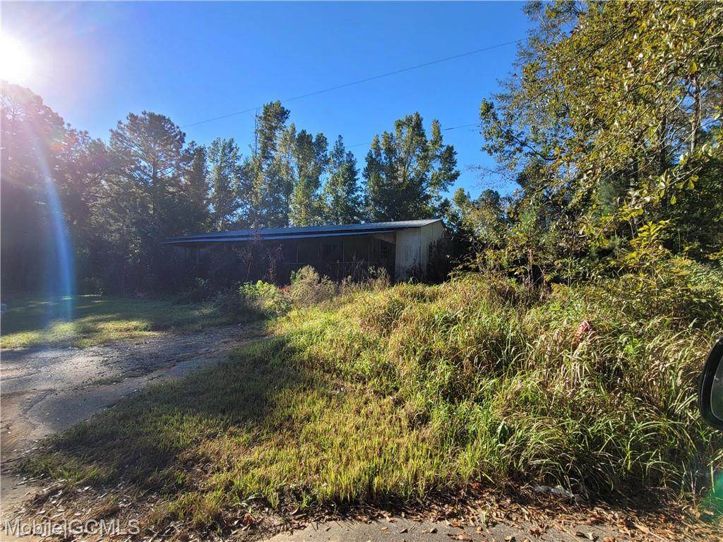 2055 Allen Street - Photo 1