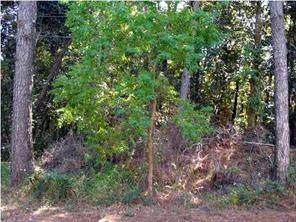 0 Hemlock Drive - Photo 1