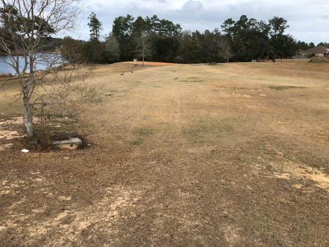 0 Mimosa Lane - Photo 1