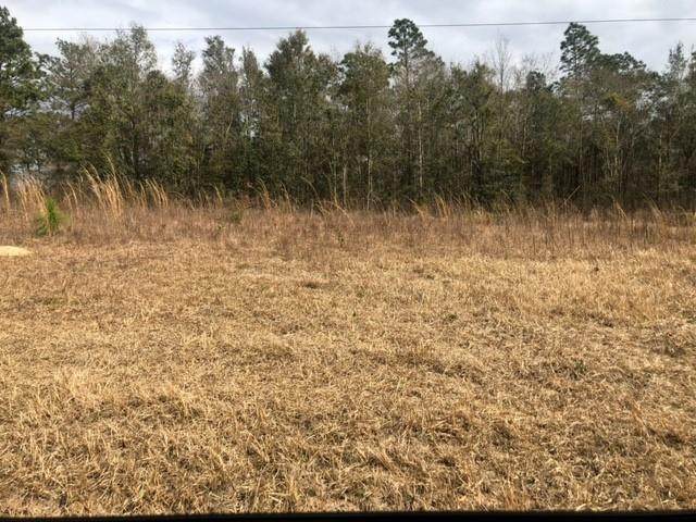 0 Dutchman Woods Drive - Photo 1