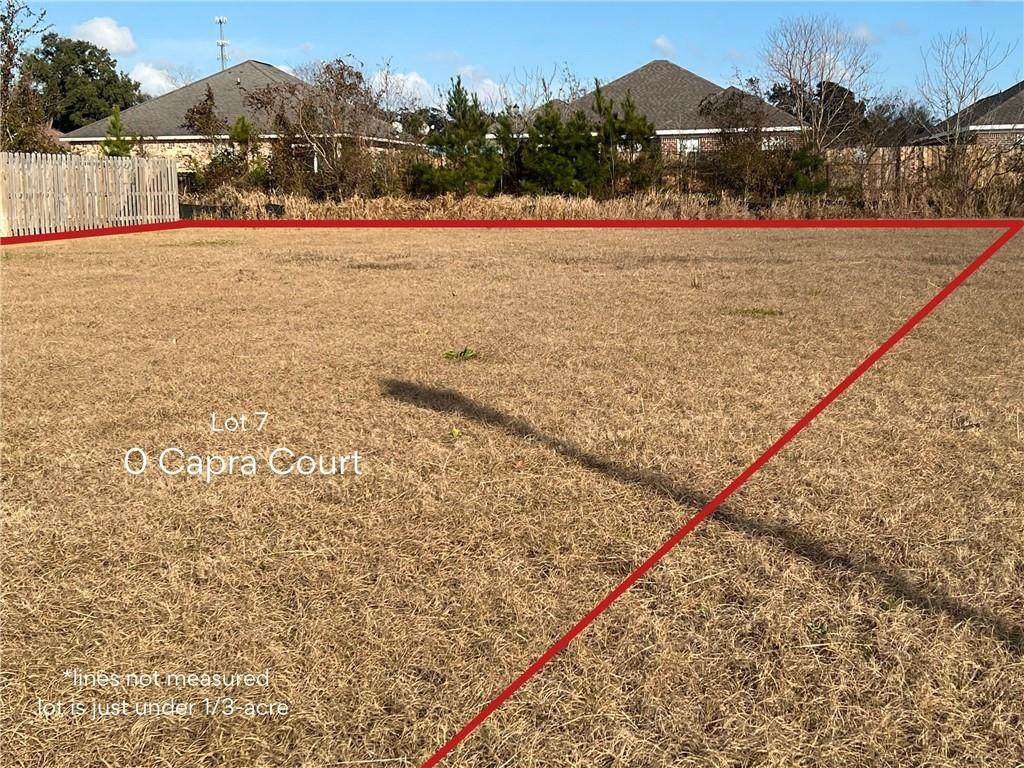 0 Capra Court - Photo 1
