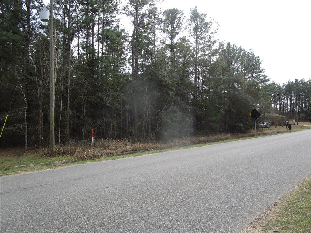 0 Walter Tanner Road - Photo 1