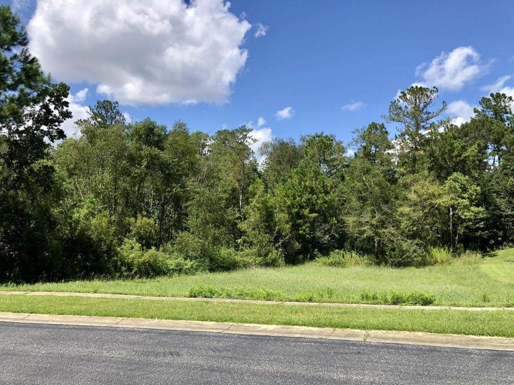 32947 Boardwalk Drive - Photo 1