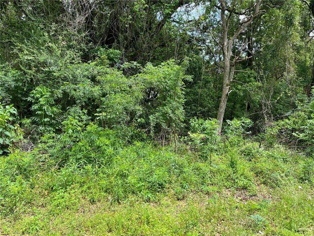2151 Beverly Road Extension - Photo 1