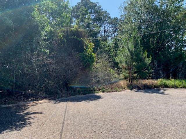 10790 Cattle Branch Court - Photo 1