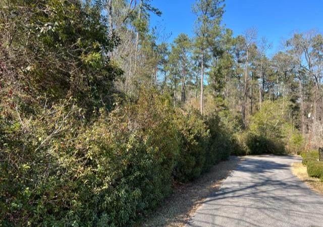 0 Dogwood Drive - Photo 1
